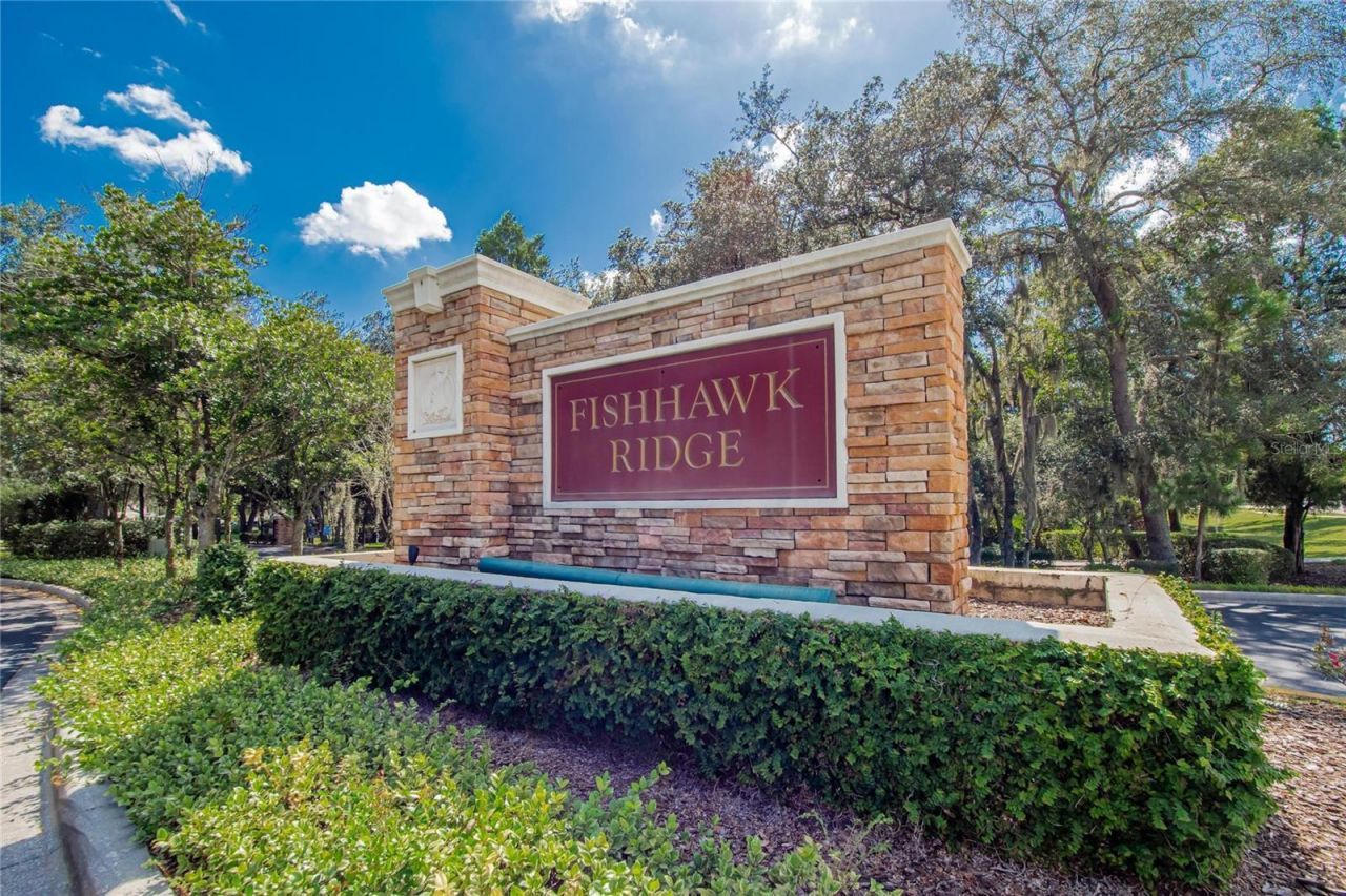 15768 Fishhawk Falls Drive, Lithia, FL 33547 Photo