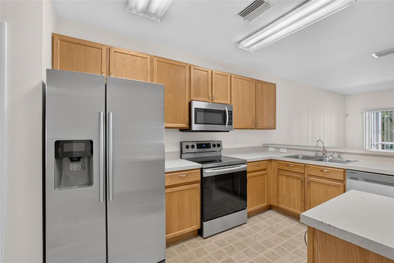 15768 Fishhawk Falls Drive, Lithia, FL 33547 Photo