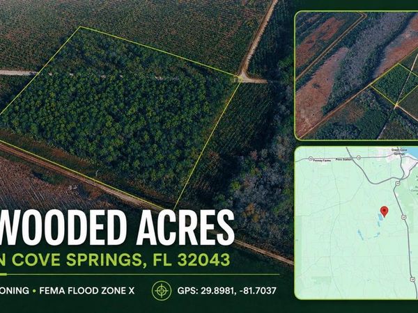 HIGHWAY 17S , GREEN COVE SPRINGS, FL 32043
