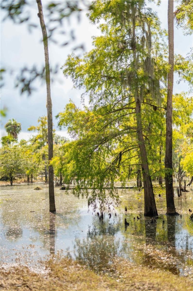 Sw Aurin Grade , Lot #A, Arcadia, FL 34266 Photo