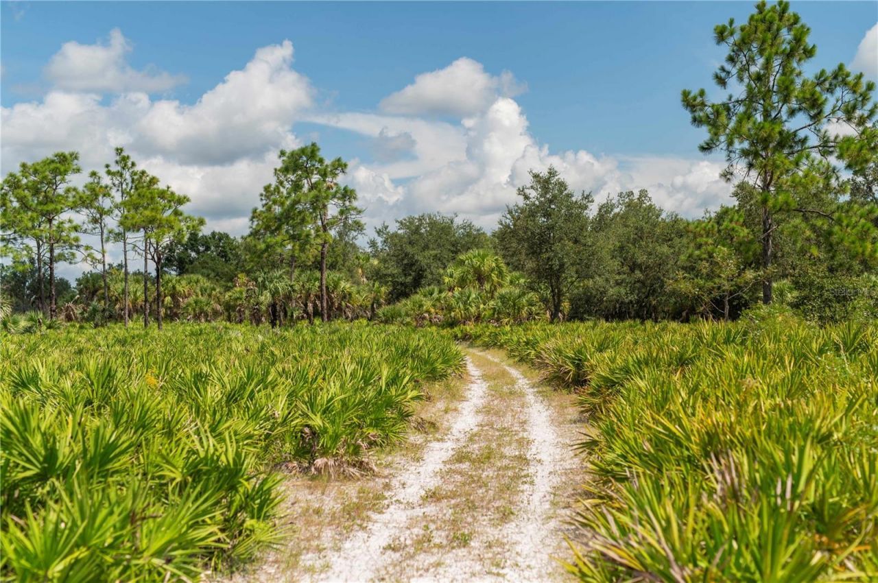 Sw Aurin Grade , Lot #A, Arcadia, FL 34266 Photo