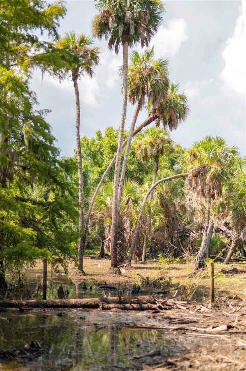 Sw Aurin Grade , Lot #A, Arcadia, FL 34266 Photo