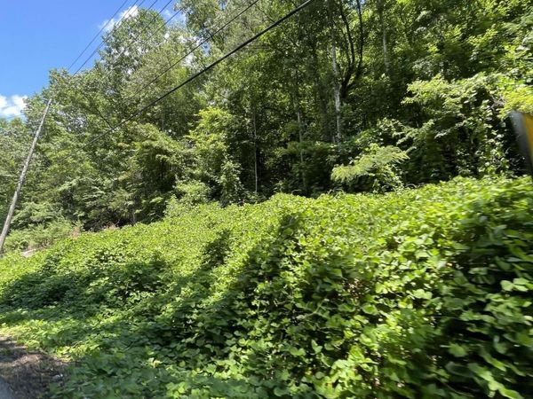 1 Pittman Center Road , Unit None, Sevierville, TN 37876