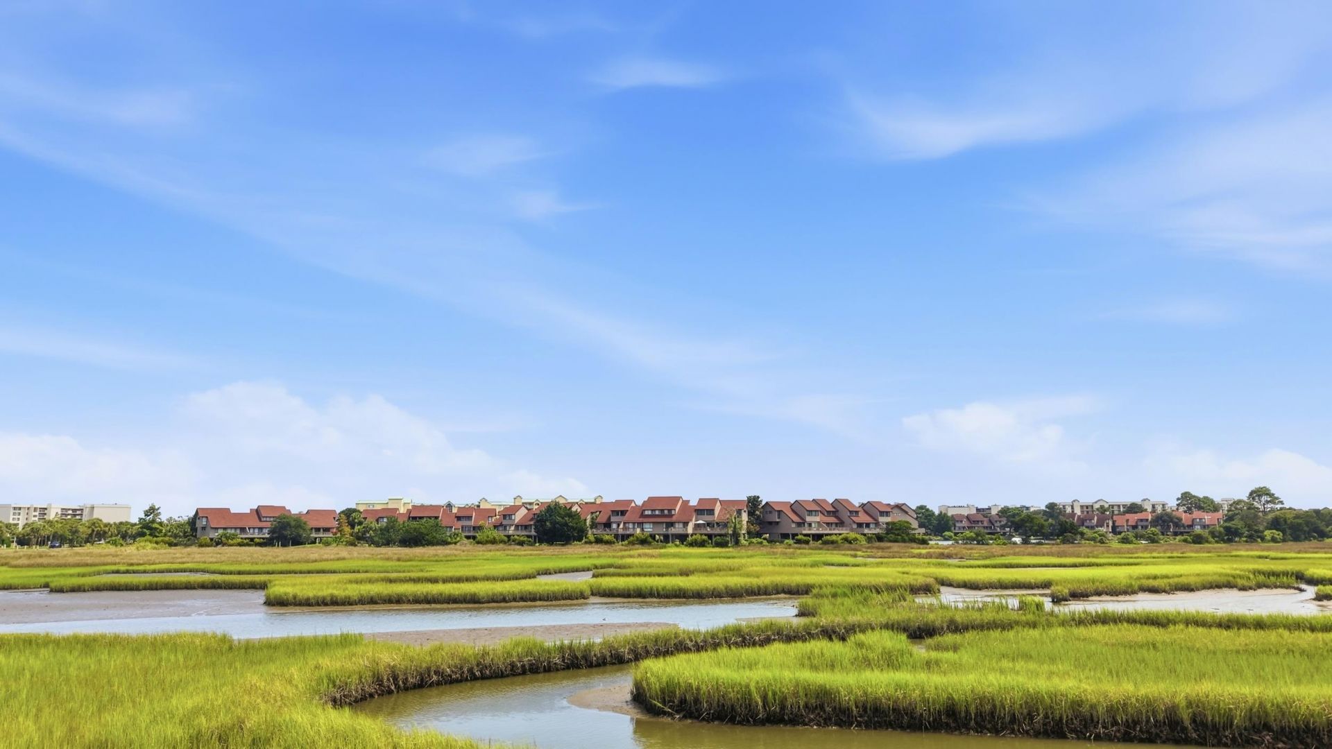 12 Spartina Ct. Photo 5