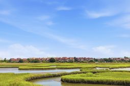 12 Spartina Ct. photo 4