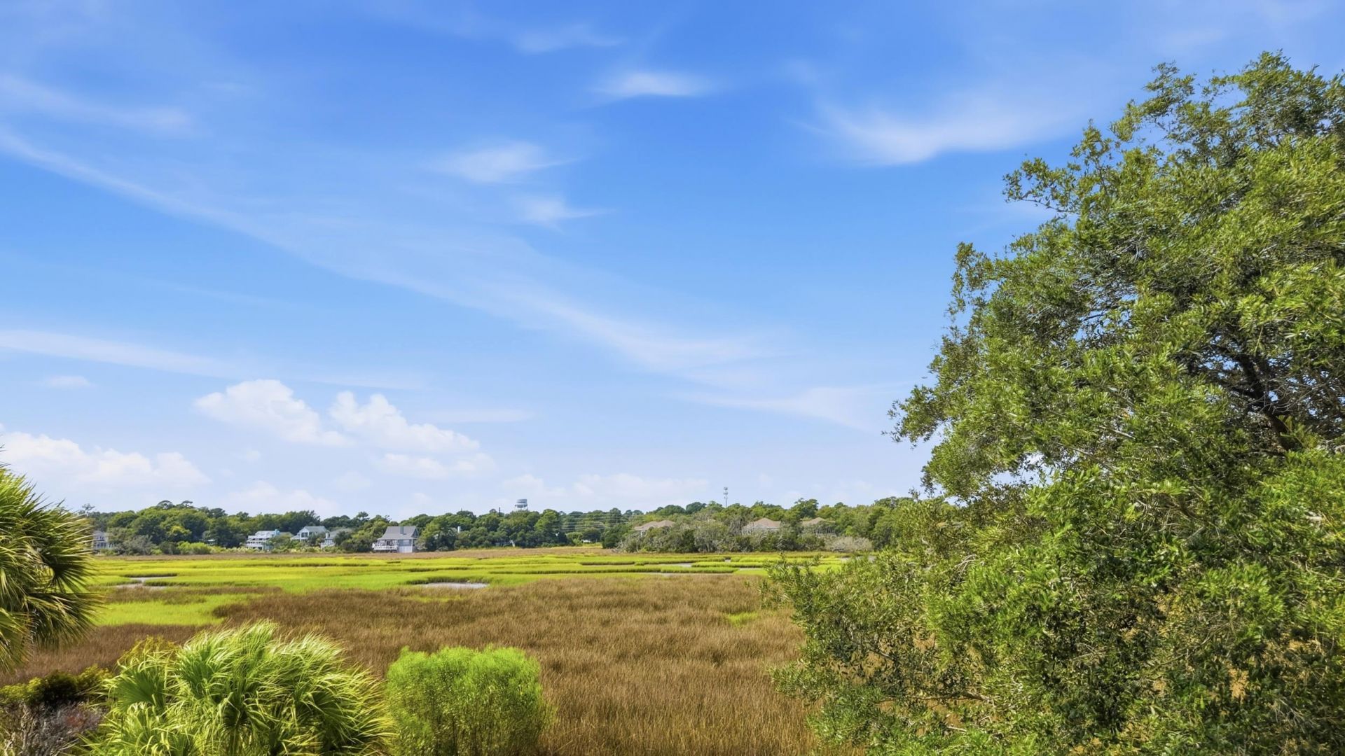 12 Spartina Ct. Photo 56