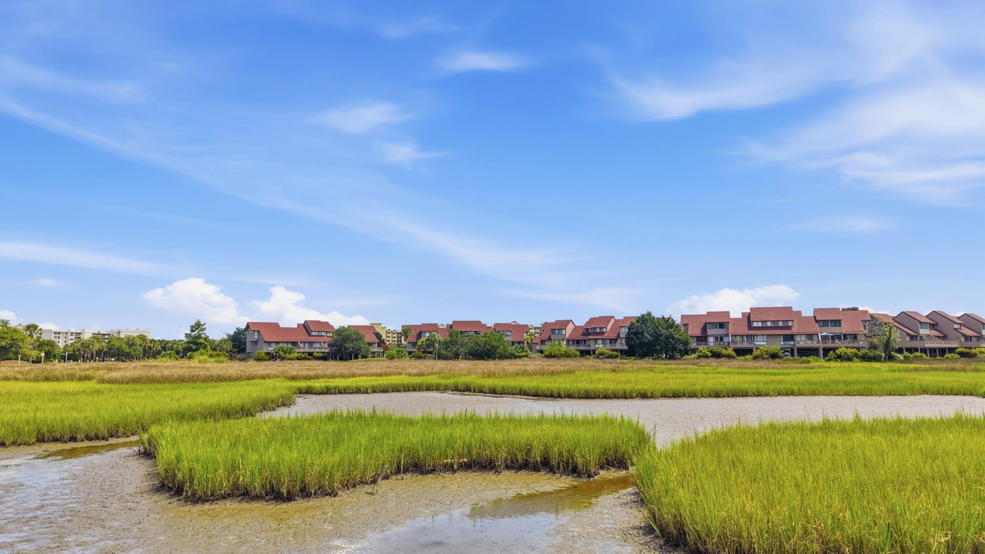 12 Spartina Ct. Photo 65