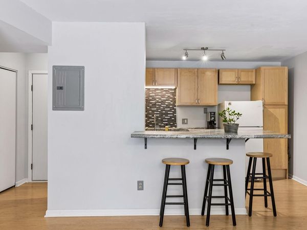 1200 Nicollet Mall, Unit 313, Minneapolis, MN 55403