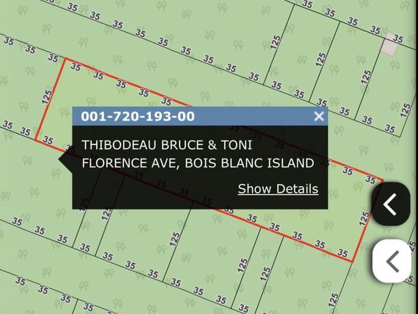 720193 Florence AVE, Bois Blanc, MI 49775