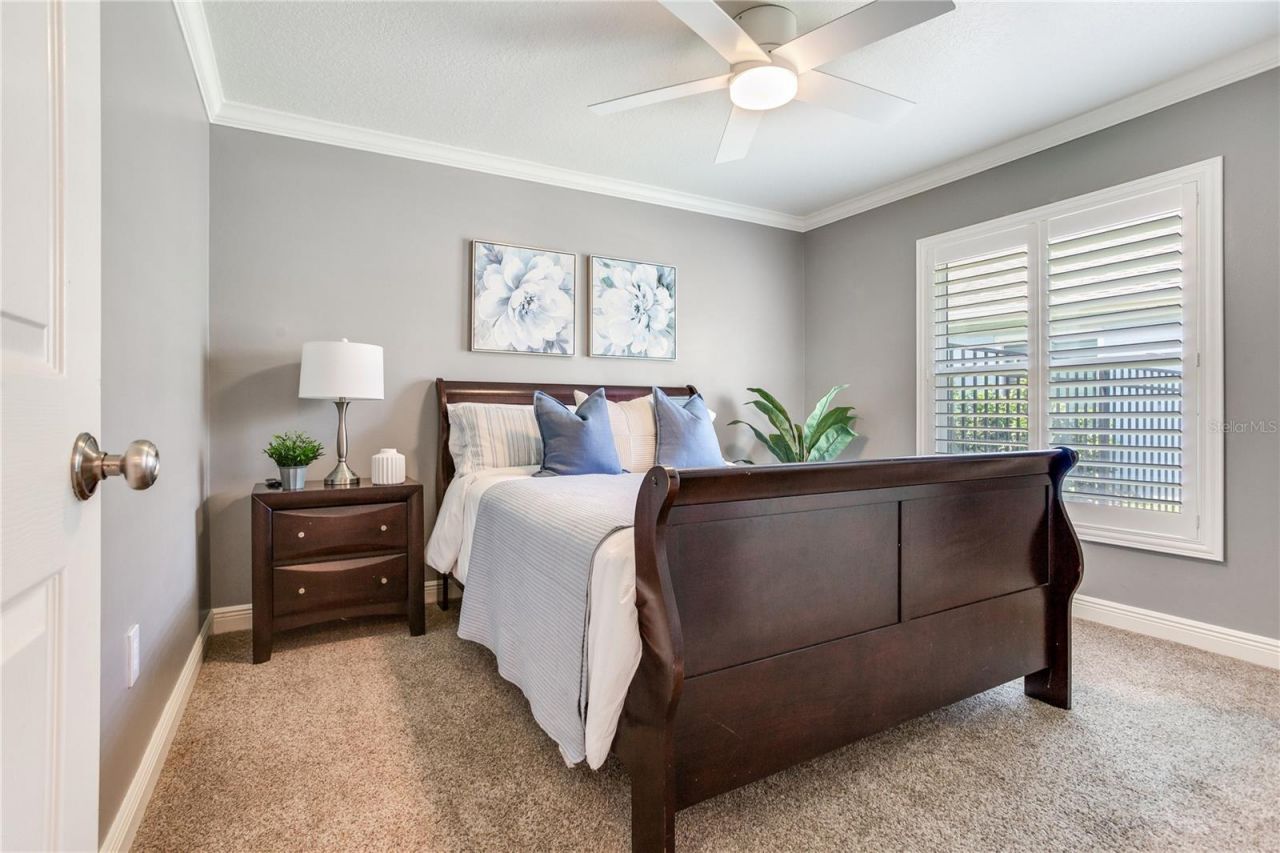 10116 Bennington Drive, Tampa, FL 33626 Photo