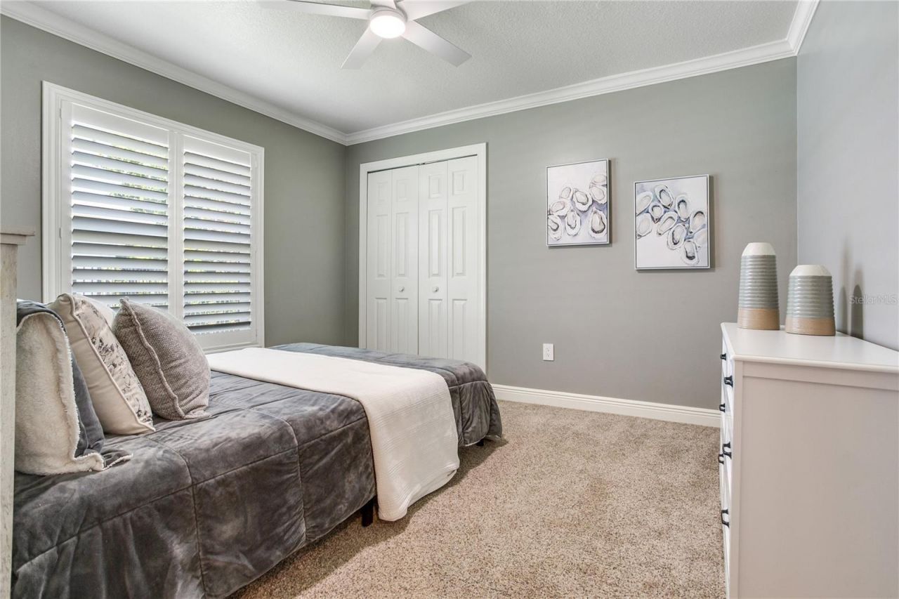 10116 Bennington Drive, Tampa, FL 33626 Photo