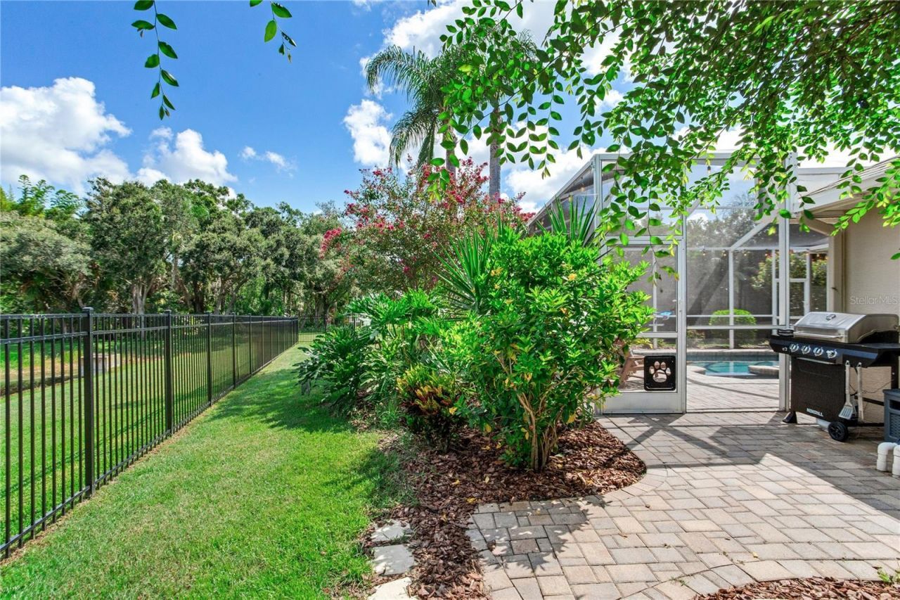 10116 Bennington Drive, Tampa, FL 33626 Photo