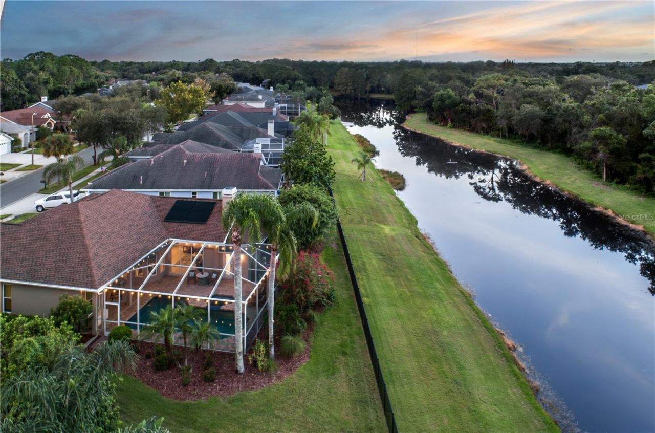 10116 Bennington Drive, Tampa, FL 33626 Photo