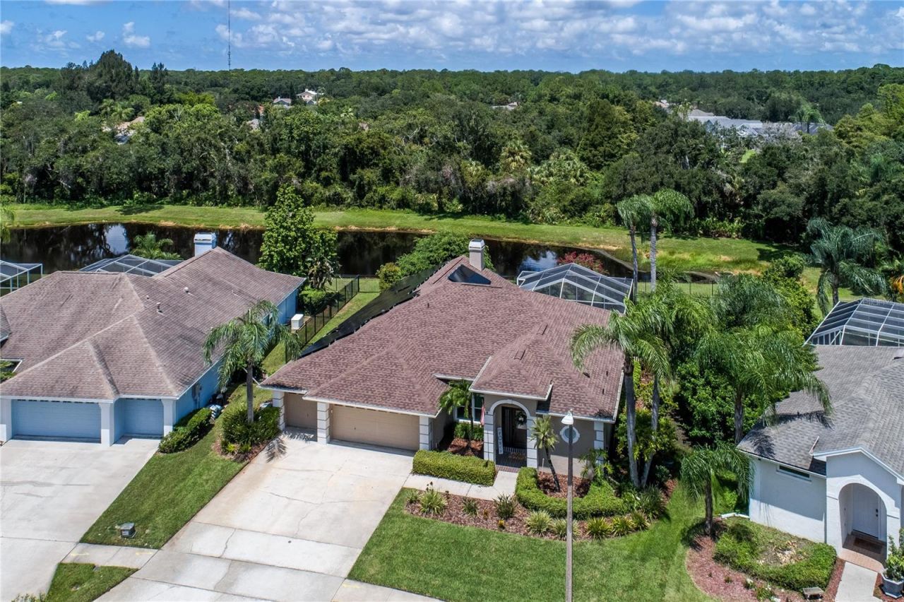 10116 Bennington Drive, Tampa, FL 33626 Photo