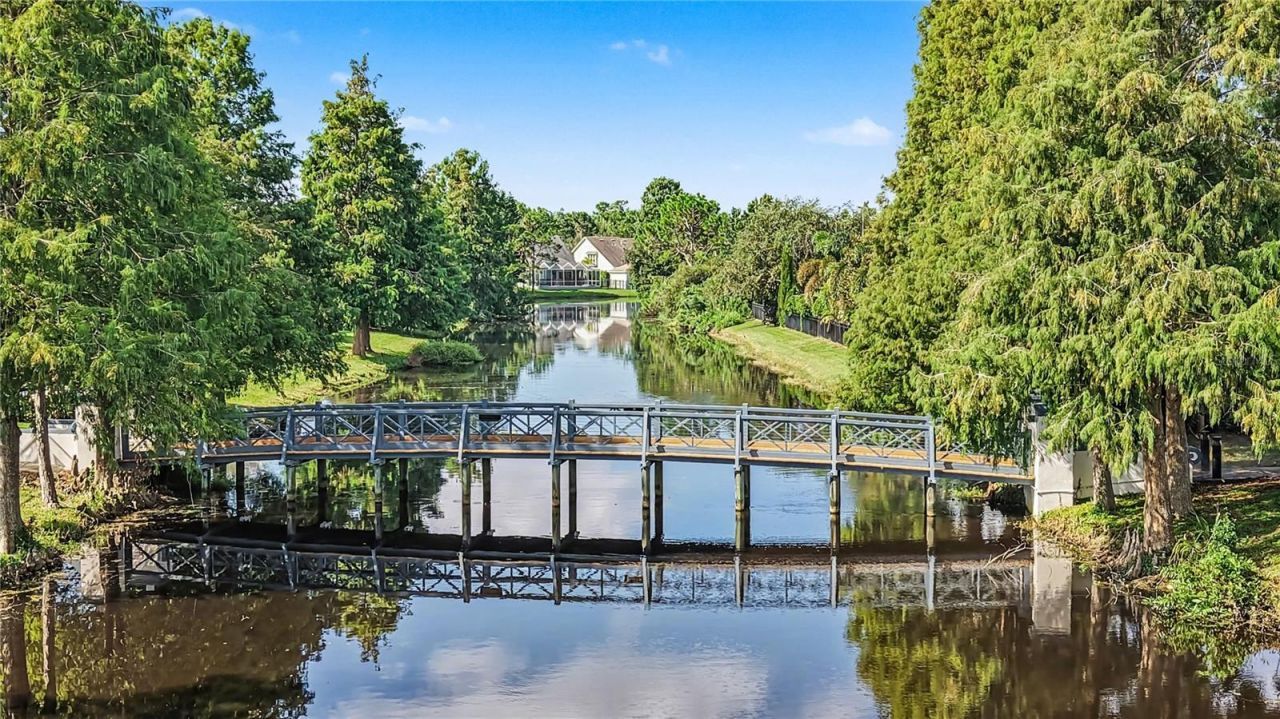 10116 Bennington Drive, Tampa, FL 33626 Photo