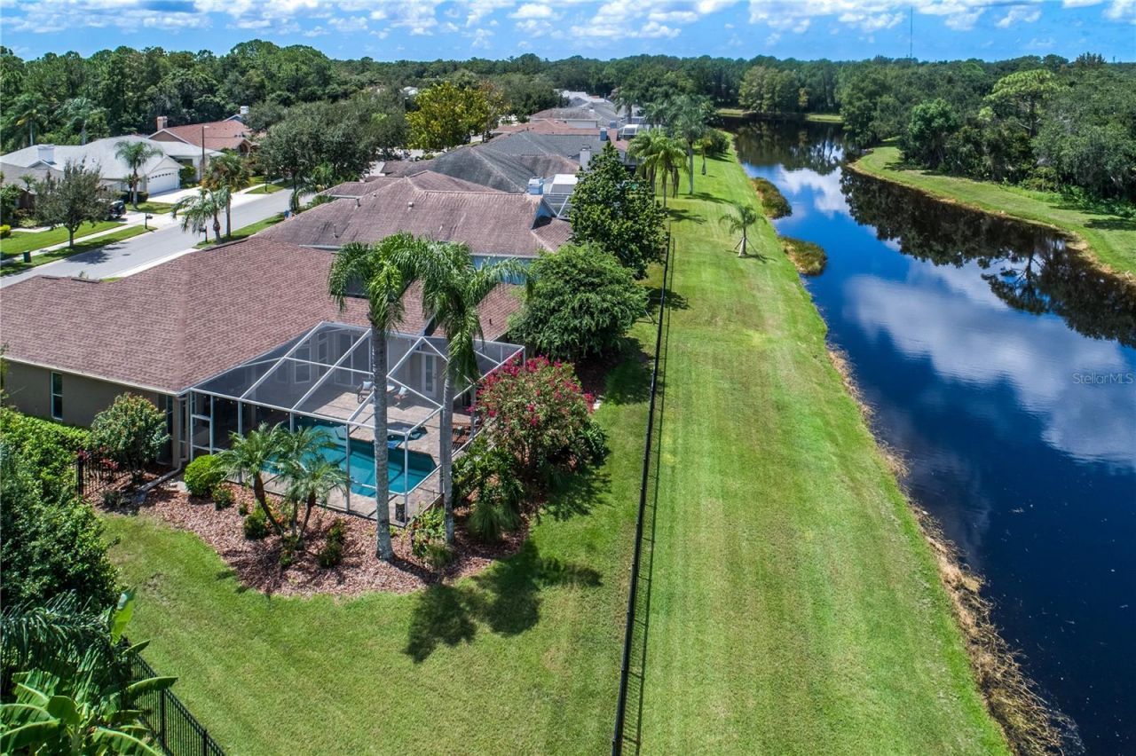 10116 Bennington Drive, Tampa, FL 33626 Photo