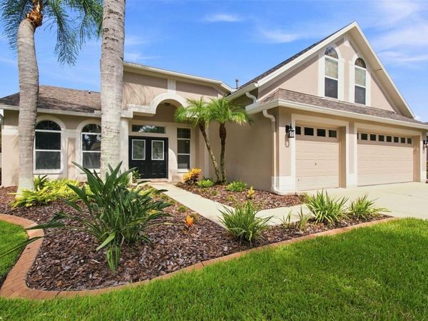 10260 SHADOW BRANCH DRIVE , TAMPA, FL 33647