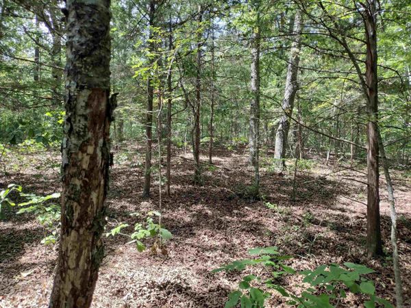 00 HWY 9 , Mountain View, AR 72560