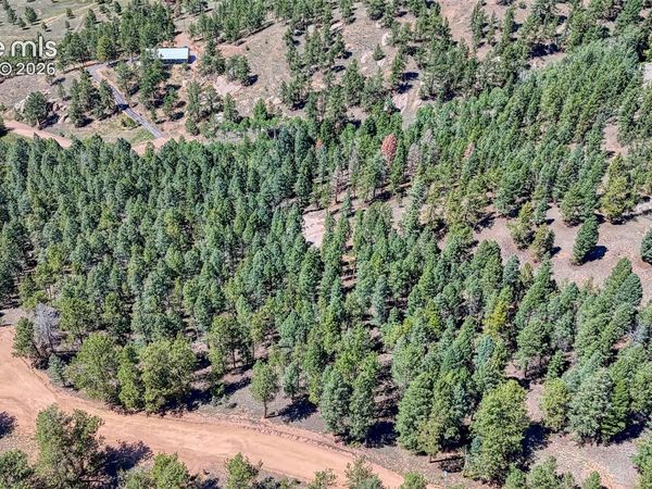 105 Carlton Circle, Florissant, CO 80816