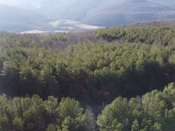 0 Hillis Cemetary Rd , Spencer, TN 38585