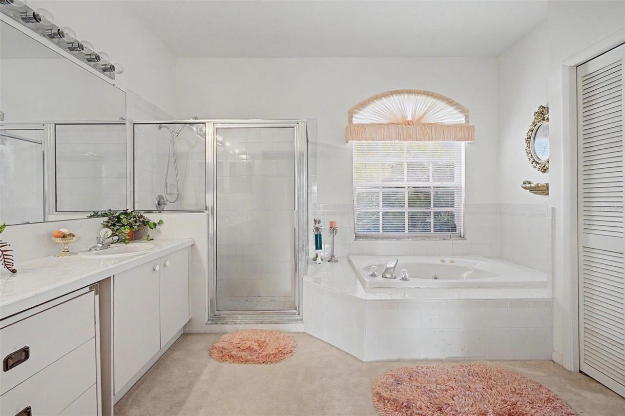 2807 Resnik Circle W, Palm Harbor, FL 34683 Photo