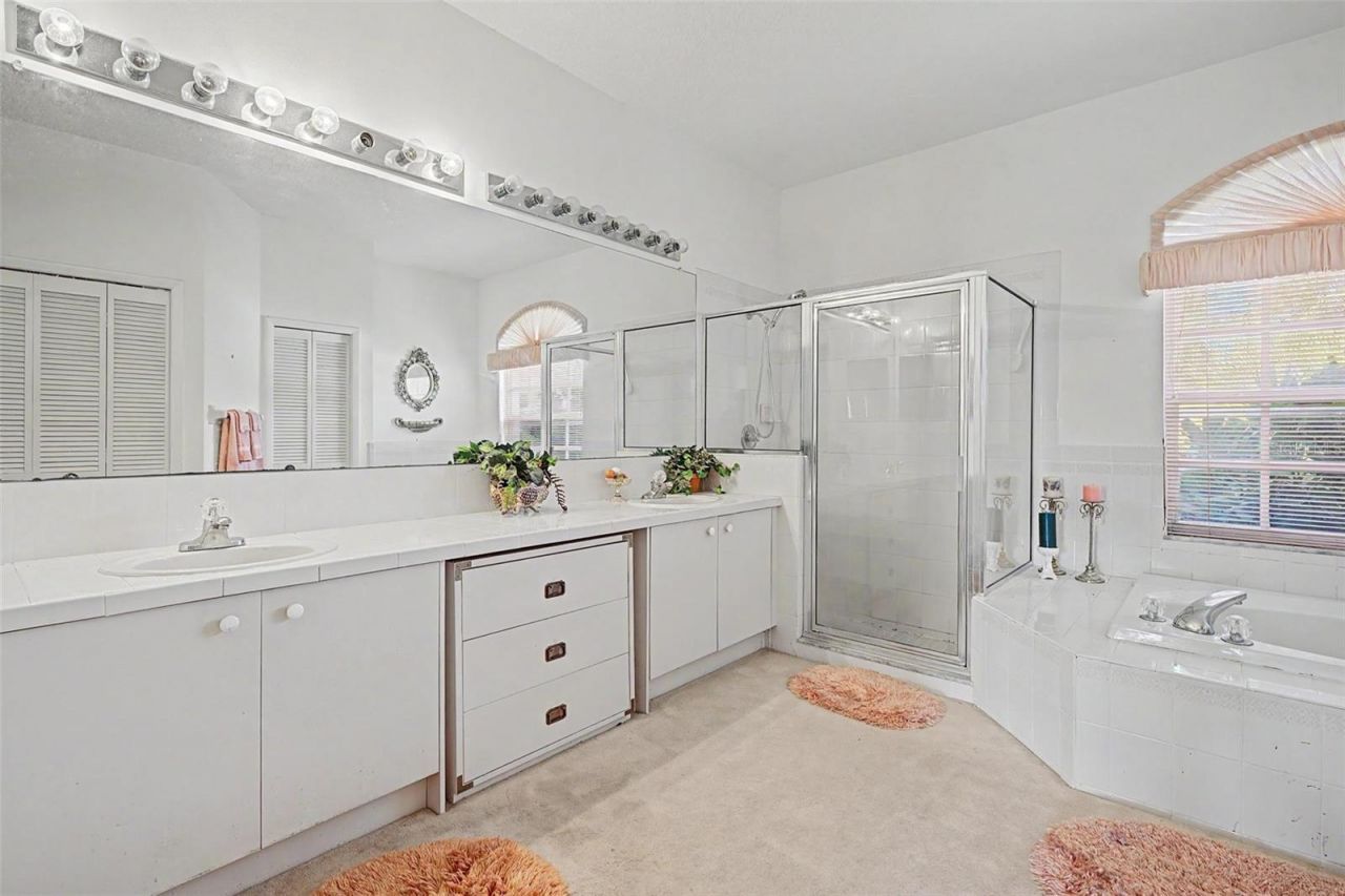 2807 Resnik Circle W, Palm Harbor, FL 34683 Photo