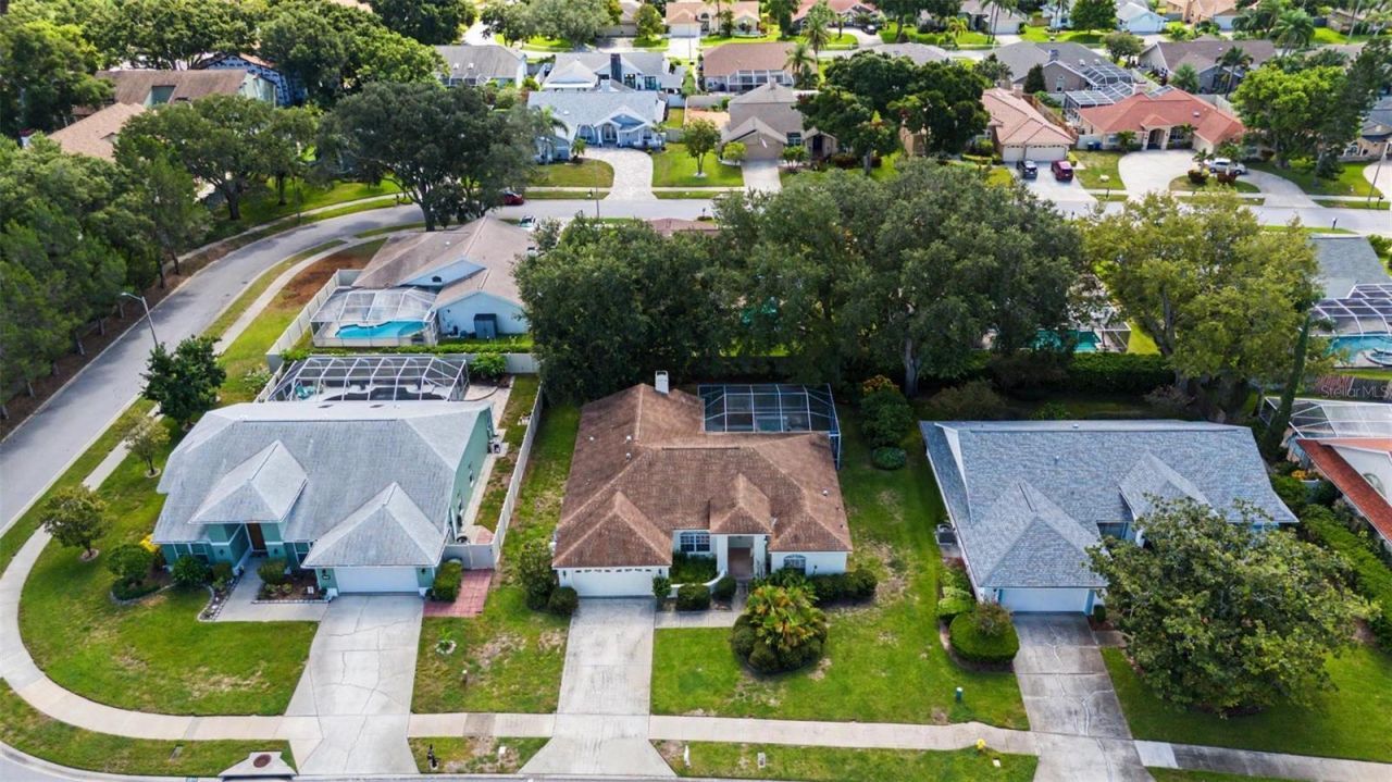 2807 Resnik Circle W, Palm Harbor, FL 34683 Photo