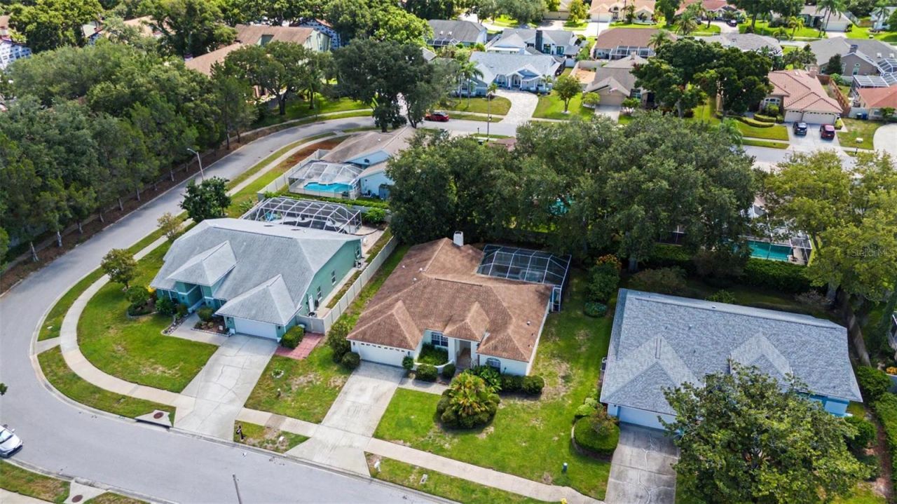 2807 Resnik Circle W, Palm Harbor, FL 34683 Photo