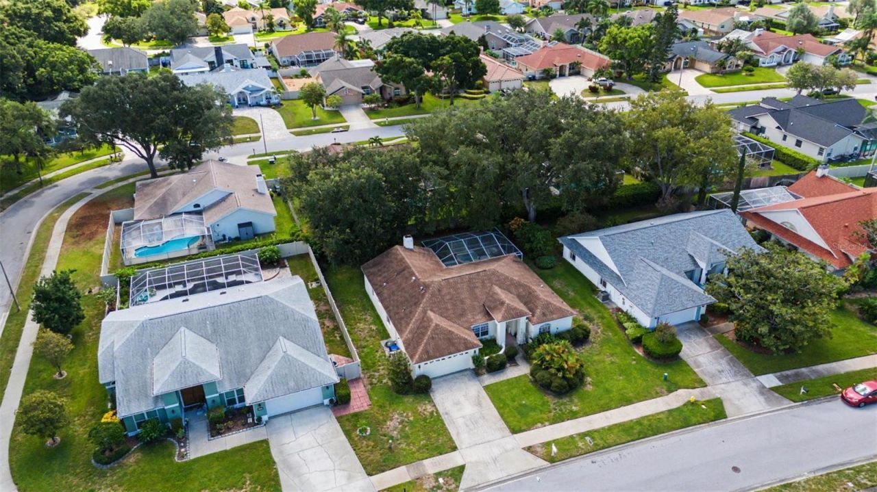 2807 Resnik Circle W, Palm Harbor, FL 34683 Photo