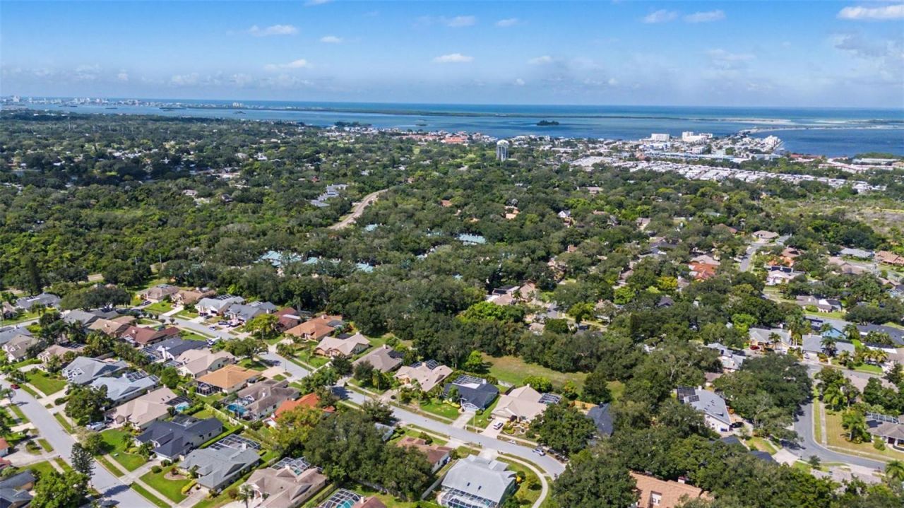 2807 Resnik Circle W, Palm Harbor, FL 34683 Photo