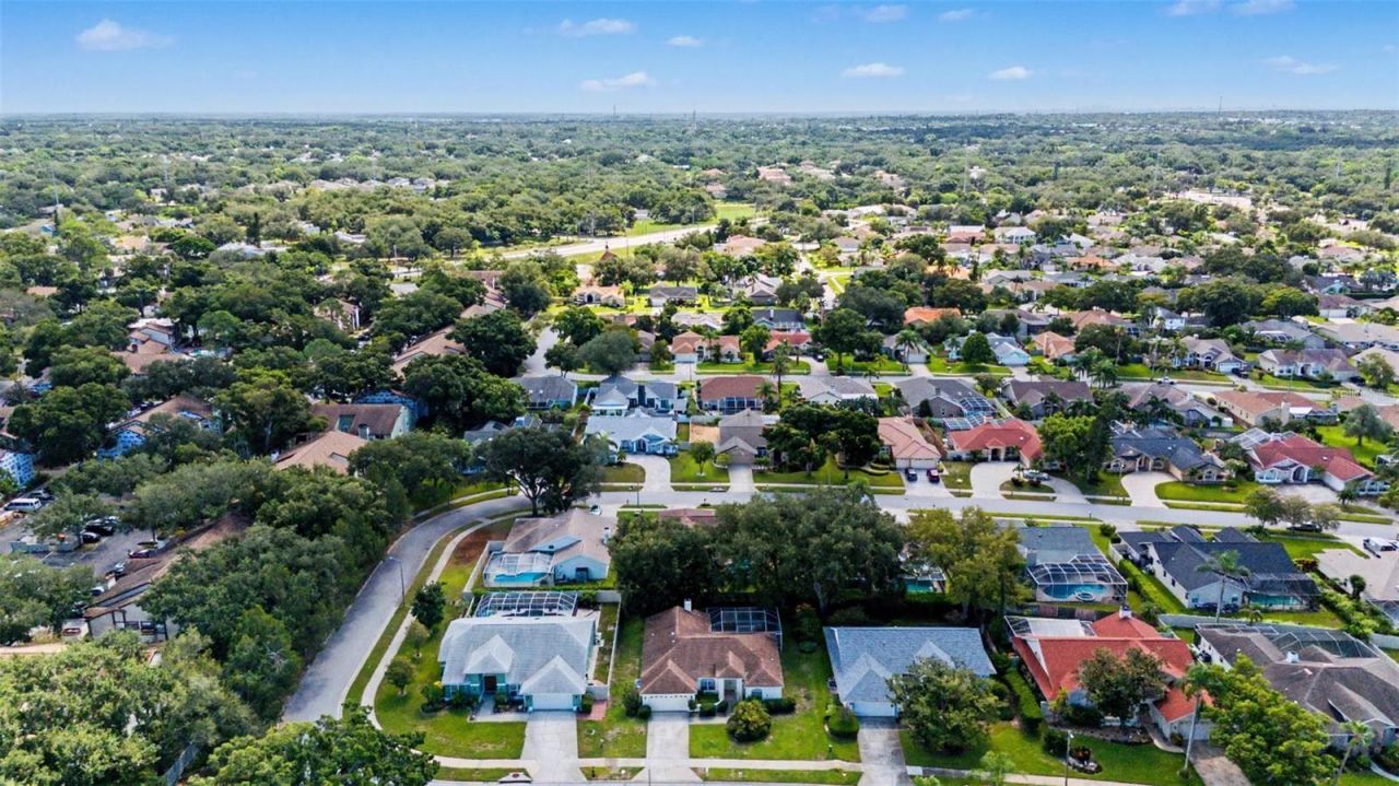 2807 Resnik Circle W, Palm Harbor, FL 34683 Photo