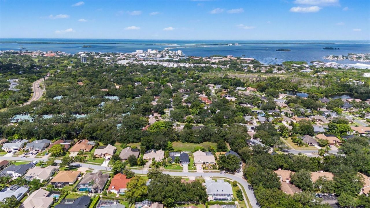 2807 Resnik Circle W, Palm Harbor, FL 34683 Photo