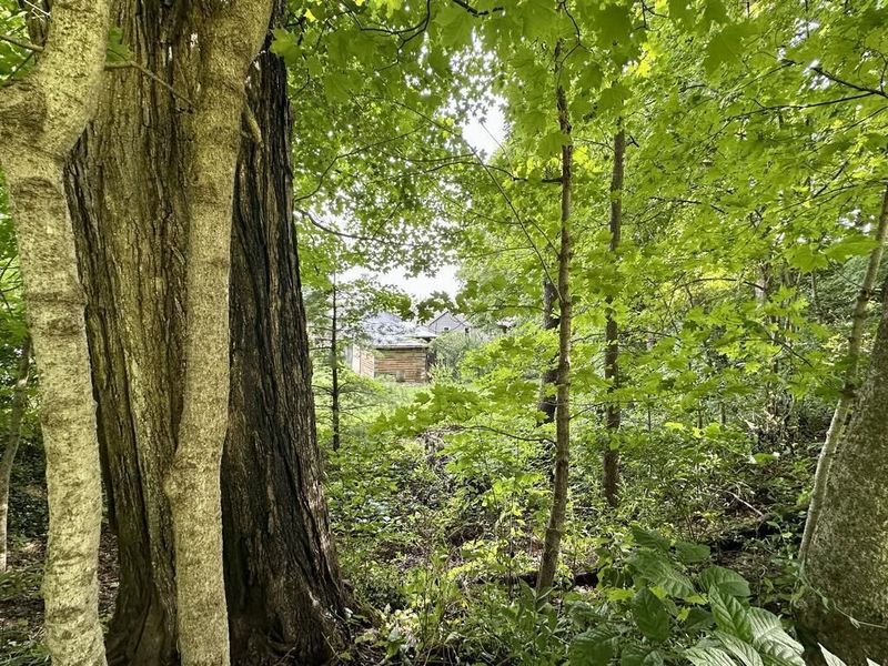 7424 State Route 180 , Kingston, OH 45644 Photo 44