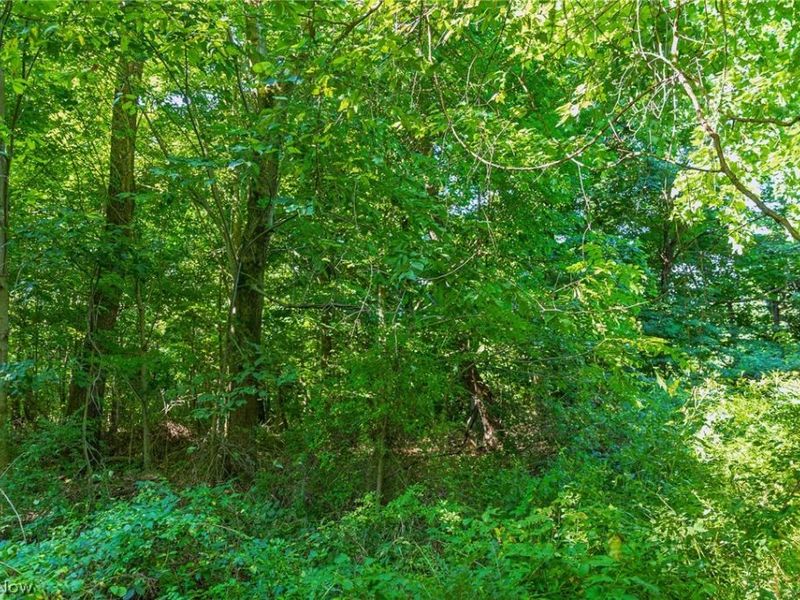 7559 Doylestown Road, Sterling, OH 44276 Photo 10