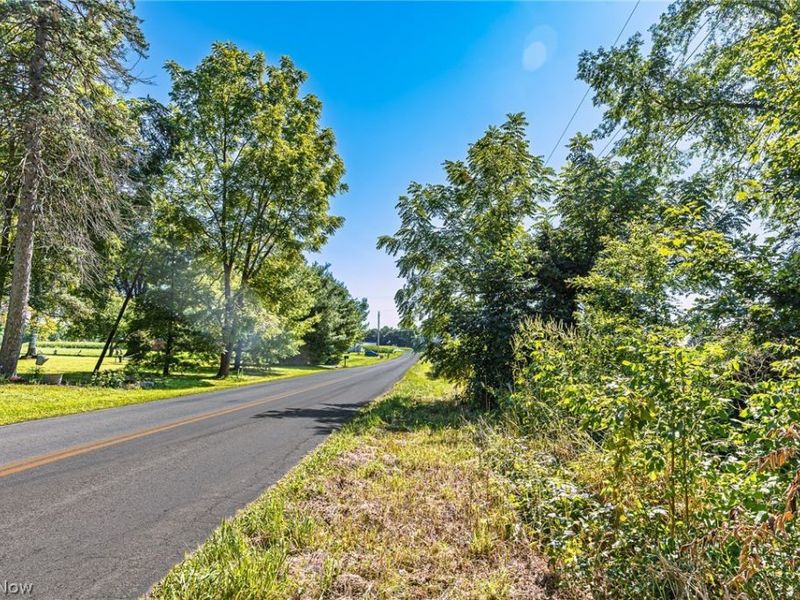 7559 Doylestown Road, Sterling, OH 44276 Photo 2