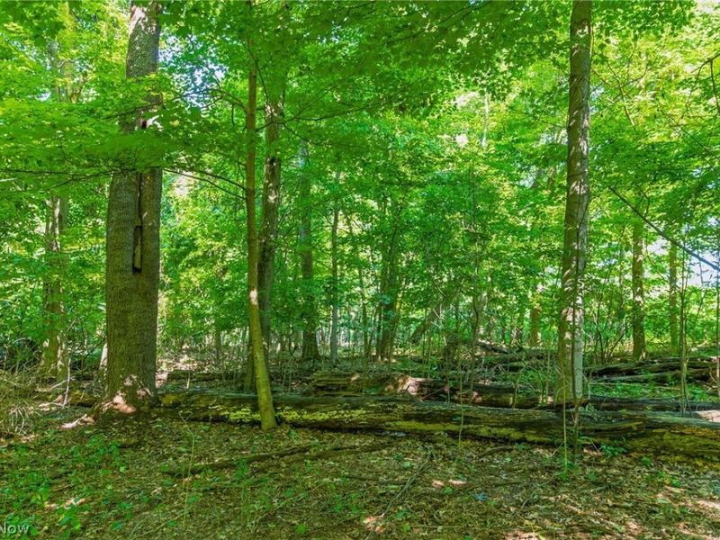 7559 Doylestown Road, Sterling, OH 44276 Photo 7