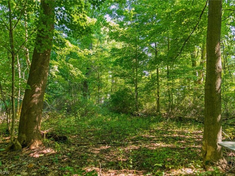 7559 Doylestown Road, Sterling, OH 44276 Photo 8