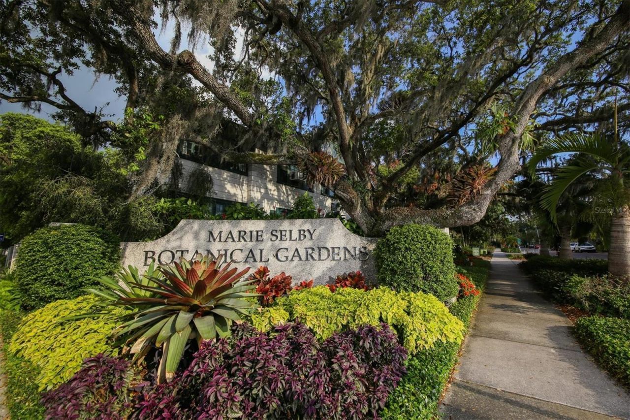 445 Reid Street, Sarasota, FL 34242 Photo