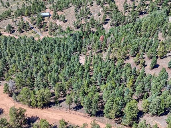 105 Carlton Circle , Florissant, CO 80816