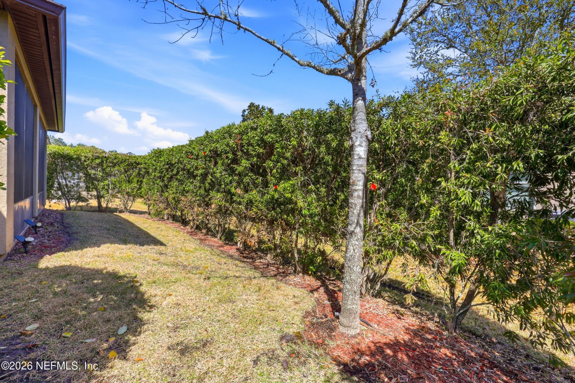313 Mangrove Thicket Boulevard, Ponte Vedra, FL 32081 Photo