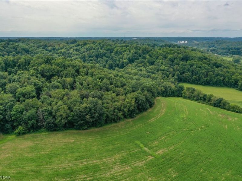 91695 Harrison Road, Scio, OH 43988 Photo 10