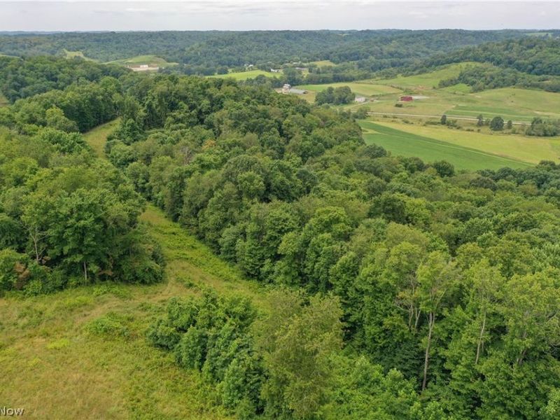 91695 Harrison Road, Scio, OH 43988 Photo 11