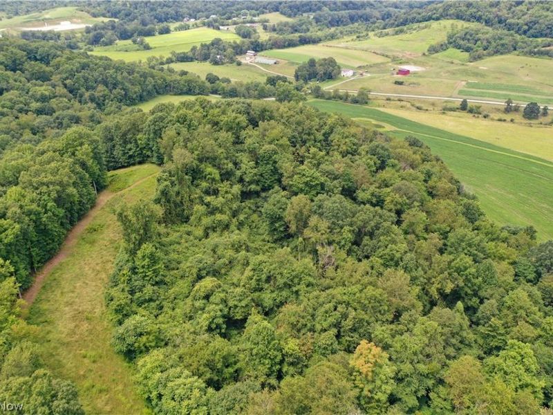 91695 Harrison Road, Scio, OH 43988 Photo 12