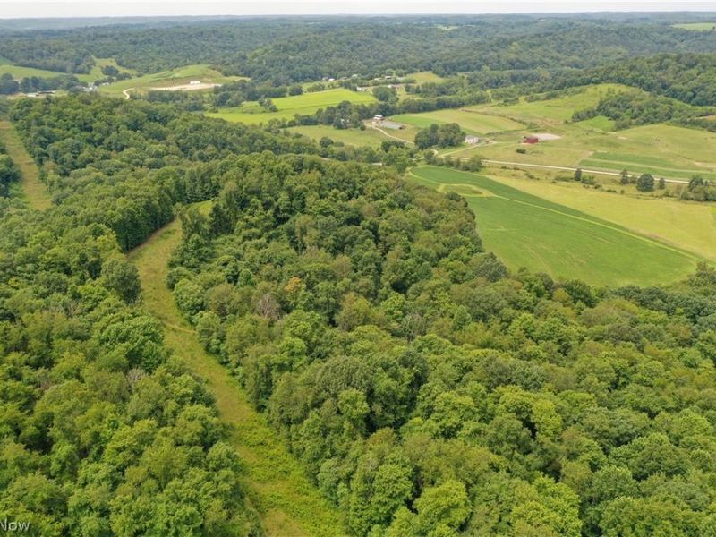 91695 Harrison Road, Scio, OH 43988 Photo 13