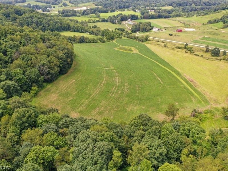 91695 Harrison Road, Scio, OH 43988 Photo 14