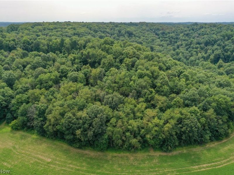 91695 Harrison Road, Scio, OH 43988 Photo 15