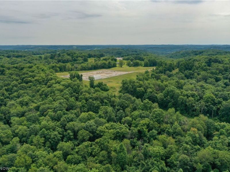 91695 Harrison Road, Scio, OH 43988 Photo 16
