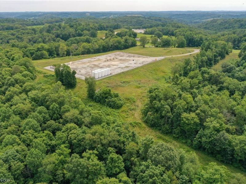 91695 Harrison Road, Scio, OH 43988 Photo 17