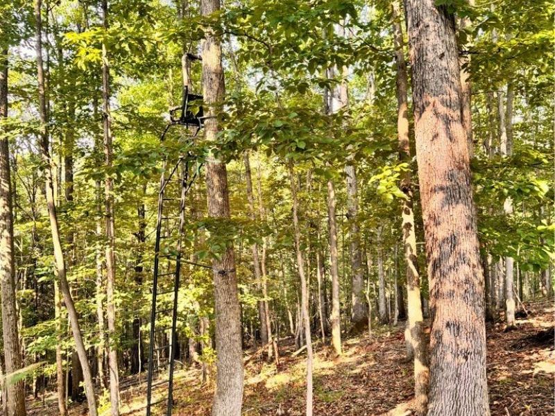 91695 Harrison Road, Scio, OH 43988 Photo 23