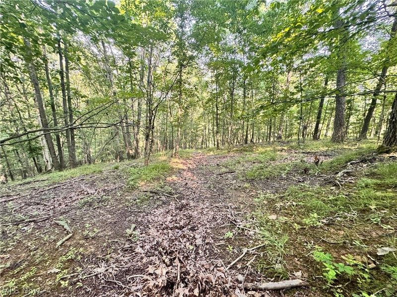 91695 Harrison Road, Scio, OH 43988 Photo 29